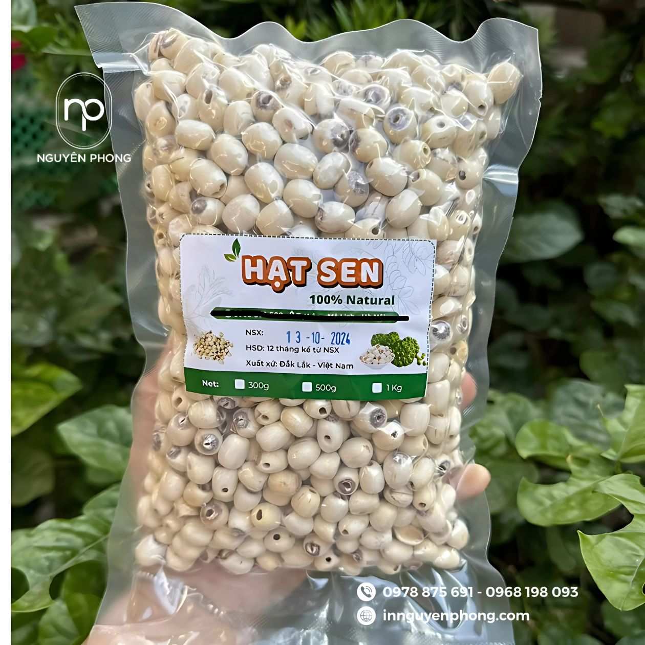 Mẫu tem dán hạt sen sấy